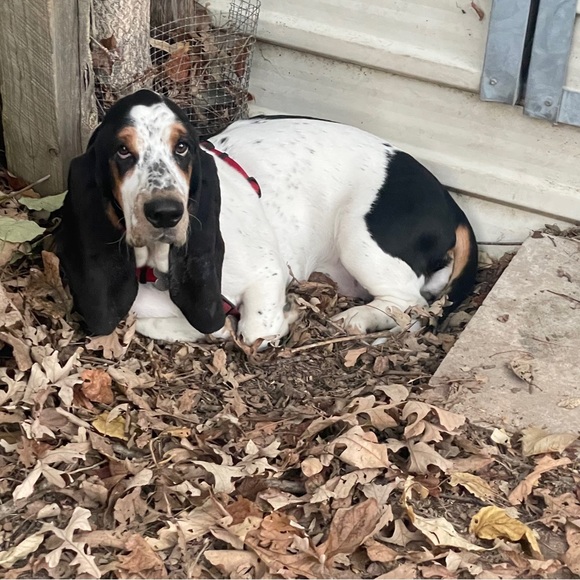 Hello friends! - Picture 14 of 16